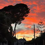 Sunny Riviera - Walk To - Terrace - Antibes