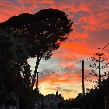 Sunny Riviera - Walk To - Terrace - Antibes
